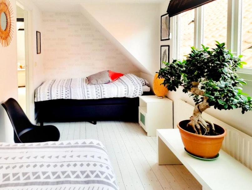Appartement B&B Pandhouse Oud-Beijerland Bagian luar foto
